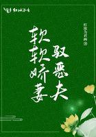 软软娇妻驭恶夫全本阅读