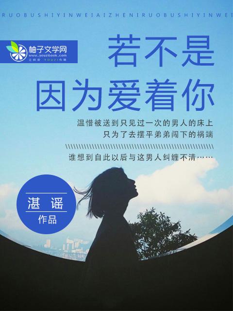 北境战神陈宁目录