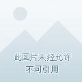 江湖一担皮2