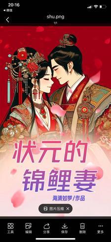状元家的二嫁妻电子书金晶