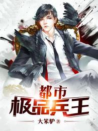 极品兵王在都市一共多少回