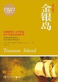 金银岛故事梗概200字