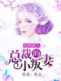 总裁的小妻
