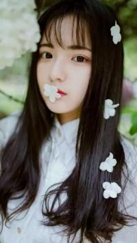 限时婚约BOSS的亿万甜宠