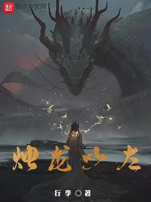 女神的无赖高手叶阳